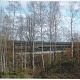 Панчайкина Ольга. Село Барышская Слобода. Вид на Суру